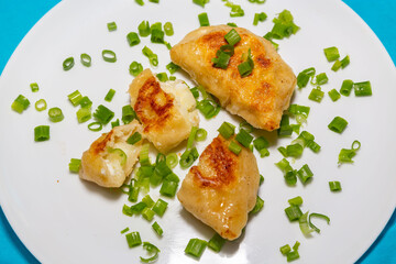 Fried pieroguis Ukrainian traditional food, on white plate on tablecloth decorated with typical Ukrainian embroidery. With cream and fresh chives in fine details. Prudentópolis PR