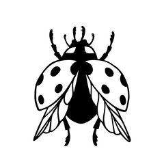 DooDoodle of winged insect ladybug.Vector graphics.dle of winged insect ladybug.Vector graphics.