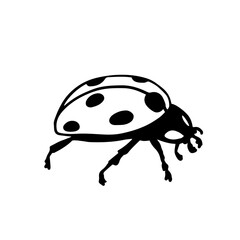 DooDoodle of winged insect ladybug.Vector graphics.dle of winged insect ladybug.Vector graphics.