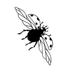 DooDoodle of winged insect ladybug.Vector graphics.dle of winged insect ladybug.Vector graphics.