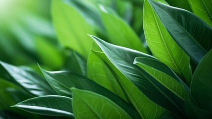 leaves background with generative ai