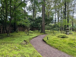 Bright moss, different plants, stone lantern and pathway in Japanese garden