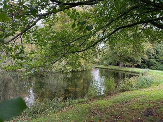 Beautiful pond and different trees in park