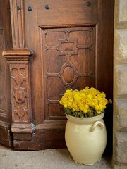 clay pot with yellow flowers in front of a wooden door in an ancient house
