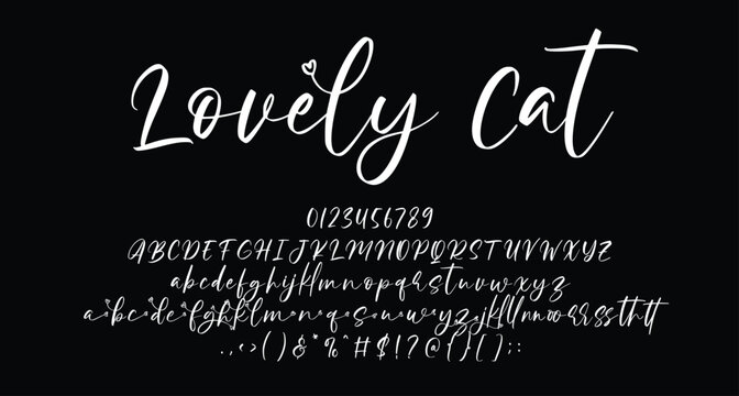 Lovely Cat beauty script handwritten font Best Alphabet Alphabet Brush Script Logotype Font lettering handwritten