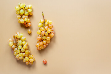 Grapes harvest. Bunches of fresh grapes pattern, food background