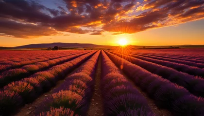 Poster Breathtaking and mesmerizing sunset landscape featuring a stunning lavender field at golden hour © Ilja
