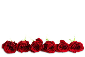 beautiful seamless red roses flower arrangement background for valentines day or...
