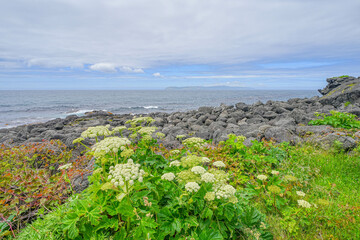 沓形岬公園