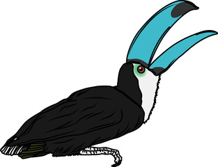 オニオオハシ（toucan）(PNG)
