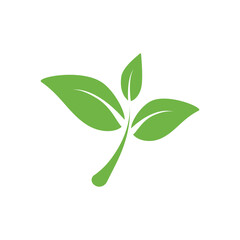 Green leaf icon. Leaf icon on isolated background. Element design for natural, eco, vegan bio label. EPS 10 vector illustration