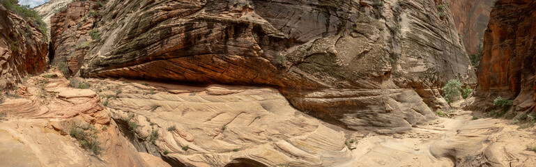Panorama Of Echo Canyon In Zion