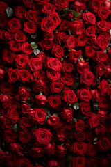 Natural flowers wall background with amazing red roses for valentine's day, women's day, mother's day celebration