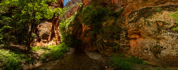 Panoramic Entrace to Bear Trap Canyon In Zion