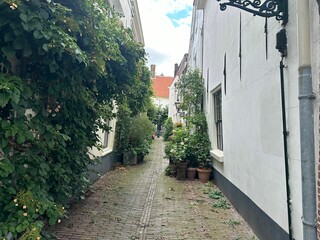View of city street with buildings, climbing and potted plants