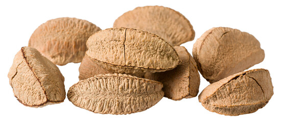 In-sell Brazil nut isolated on the white background.