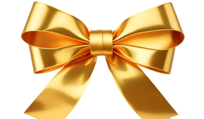 chrismas bow png