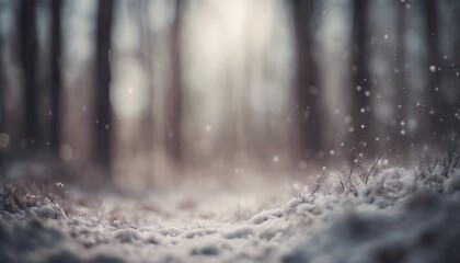 Serene Winter Forest Scene with Fresh Snowfall, Bare Trees, and Soft Sunlight Filtering Through the Woods