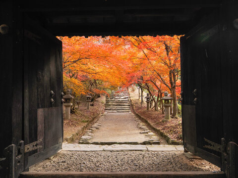 秋月城跡」の写真素材 | 256件の無料イラスト画像 | Adobe Stock
