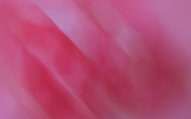 Fototapeta premium pink rose petals