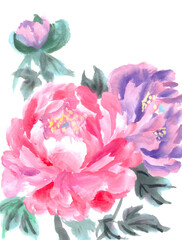 peony, Chinese traditional brush painting on rice paper, pink, purple