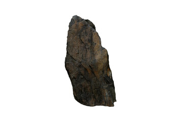 A large mudstone isolated in Carboniferous Period on white background.   