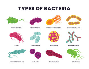 Set of different types of bacteria, Bacteria and virus microbes icons, Color germs, biology microorganism types. Illness or disease microscopic cells and infection, Pathogenic bacteria. - obrazy, fototapety, plakaty