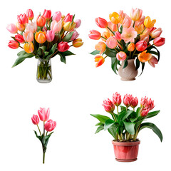 Set of tulips