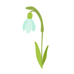 January birth month flower snowdrop flat cartoon vector illustration. Hand drawn floral plant spring sketch isolated on white.