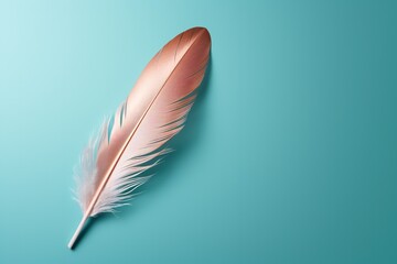pink feather on blue background