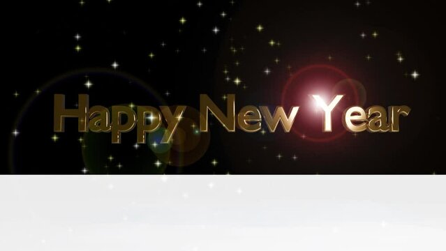 HAPPY NEW YEAR、光に照らされてキラキラ