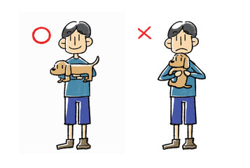 正しい犬の抱き方と間違った抱き方のイラスト