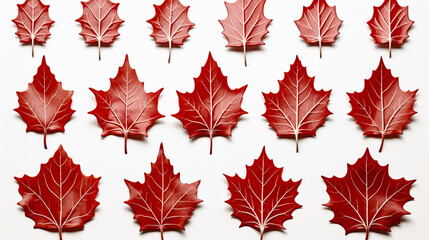 leaves set HD 8K wallpaper Stock Photographic Image 