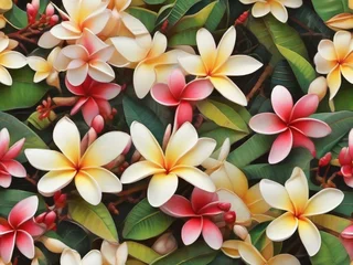 Foto auf Leinwand Beautiful colored frangipani flowers © apidech