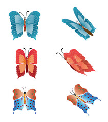 Three beautiful butterflies in the most used positions. Vector on white background.