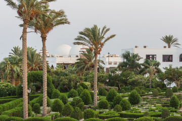 Fototapeta premium lot of palm trees and a well maintained garden in a resort