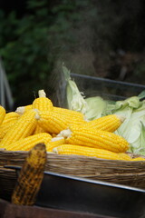 corn on the cob