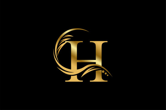 Gold letter H  logo design with beautiful leaf, flower and feather ornaments. initial letter H. monogram H flourish. suitable for logos for boutiques, businesses, companies, beauty, offices, spas, etc