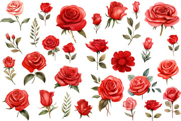 seamless pattern with roses