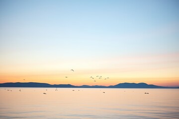Obraz premium silhouette of gulls roosting as the sunset colors the horizon