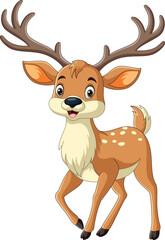 Cartoon deer on white background