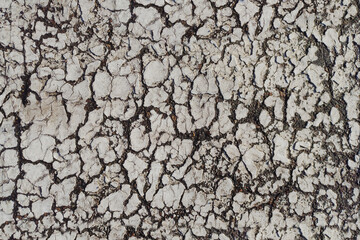 painted asphalt road pattern for overlay or background