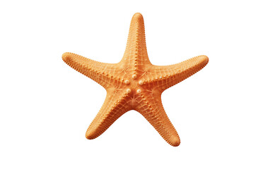 Fototapeta na wymiar Starfish Majesty on Transparent Background.
