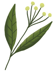 Flower Pastel With Textured Graphic Element