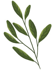 Green Leaf Pastel With Textured Graphic Element