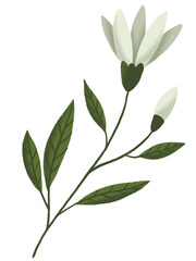 White Lily Flower Pastel With Textured Graphic Element