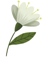 White Lily Flower Pastel With Textured Graphic Element