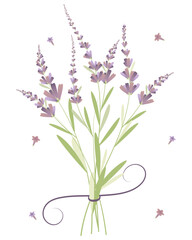 Bouquet of Lavender, Vector Illustration, Isolated, Romantic, Flower, Vintage, Blossom, Women's Day, Flat illustration, Aromatic, Elegant, Watercolor, Herbs