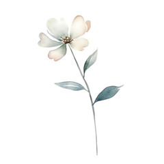Watercolor illustration of a flower branch isolated on background. PNG transparent background.