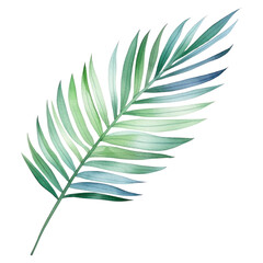 Watercolor illustration of palm leaf isolated on background. PNG transparent background.